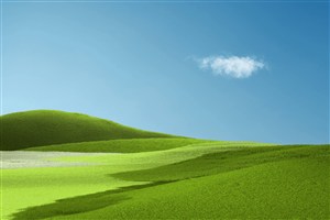 如何挽回折翼天使